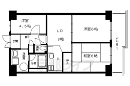 マンハイム五条 4階/-