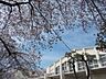 周辺：中野区立明和中学校まで1412m