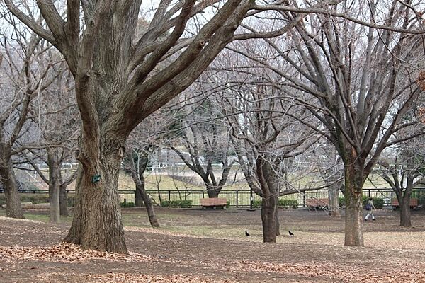 祖師谷公園まで588m