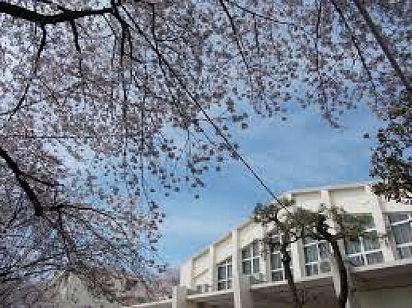 中野区立明和中学校まで569m