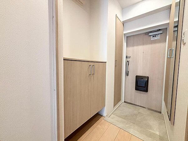 大きな靴箱とカウンターの靴箱を設置しています。鍵やエコバック、日傘など、玄関で忘れがちな小物も玄関カウンターに置いておけば安心ですね。