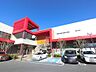 周辺：ベルクフォルテ津田沼店