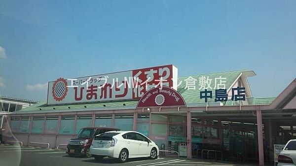 画像19:スーパードラッグひまわり中島店 723m