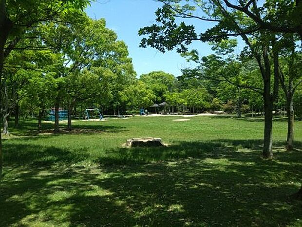 【公園】藤沢台公園まで704ｍ