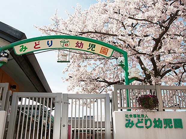 【幼稚園】みどり幼児園まで137ｍ