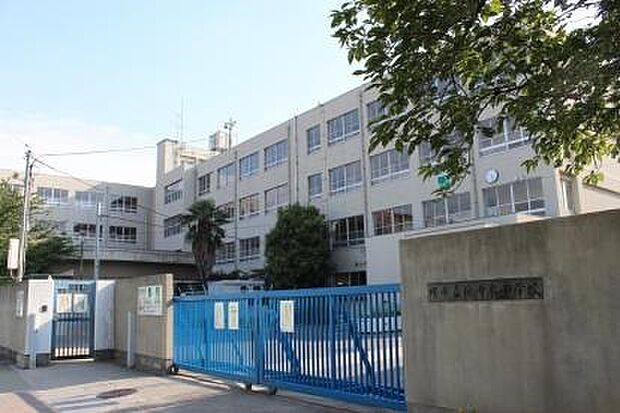 【小学校】堺市立浜寺東小学校まで524ｍ