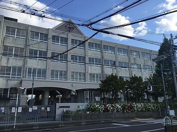 【小学校】堺市立上野芝小学校まで223ｍ
