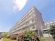 中山観音駅より徒歩36分 築48年6ヶ月 5階建の賃貸物件