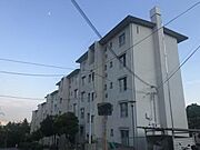 宝塚南口駅より徒歩18分 5階 築56年1ヶ月の賃貸物件