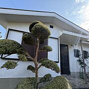 逆瀬川駅より徒歩10分 1階 築58年6ヶ月の賃貸物件