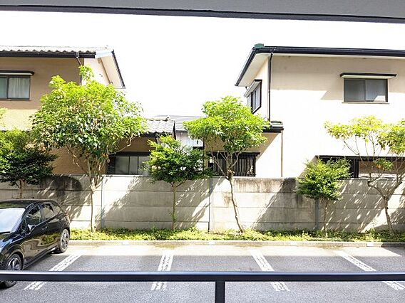 展望