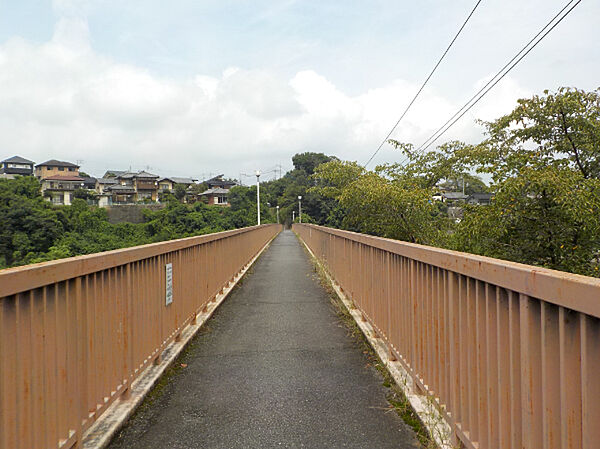 駅へ近道の橋