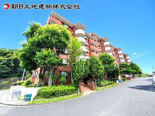 外観：313004864532