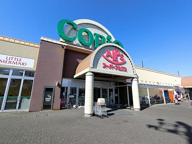 スーパーアルプス 城山店