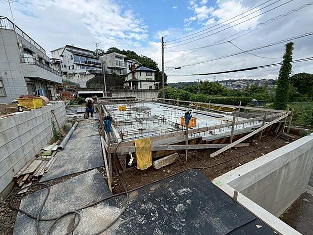 2026.6.29撮影