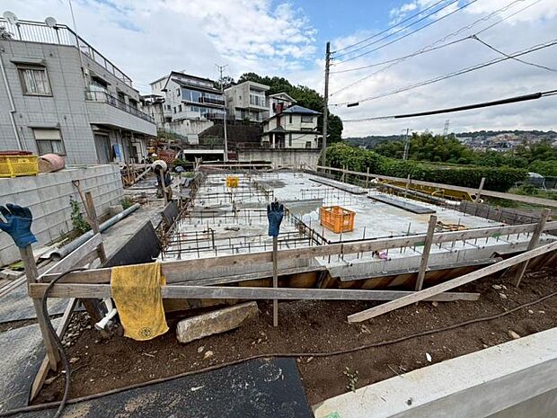 2026.6.29撮影