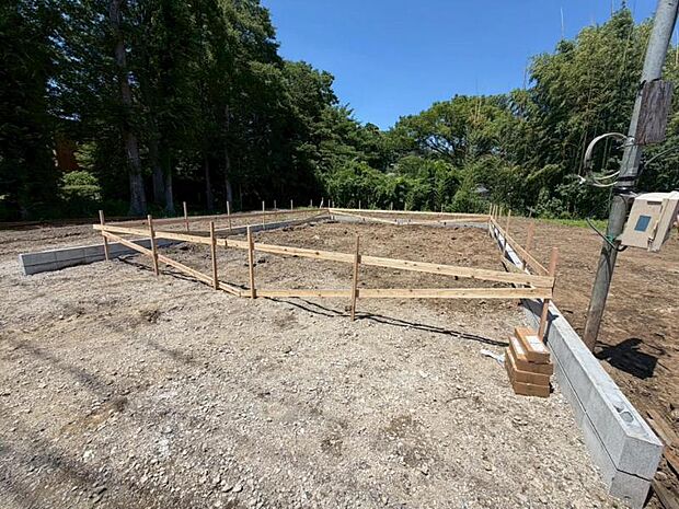 2026.7.9撮影