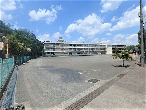 相模原市立 大野台小学校