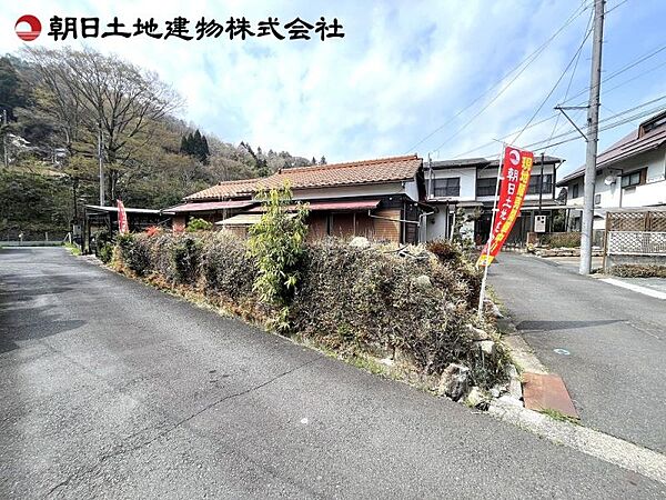 外観：313004674161
