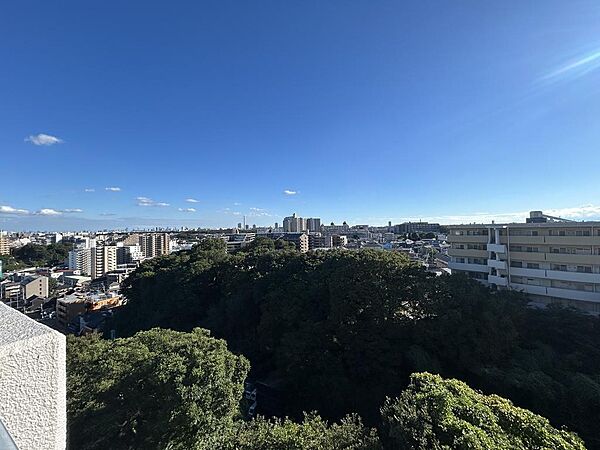バルコニーからの眺望