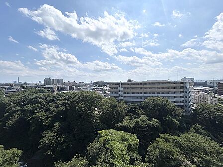 バルコニーからの眺望