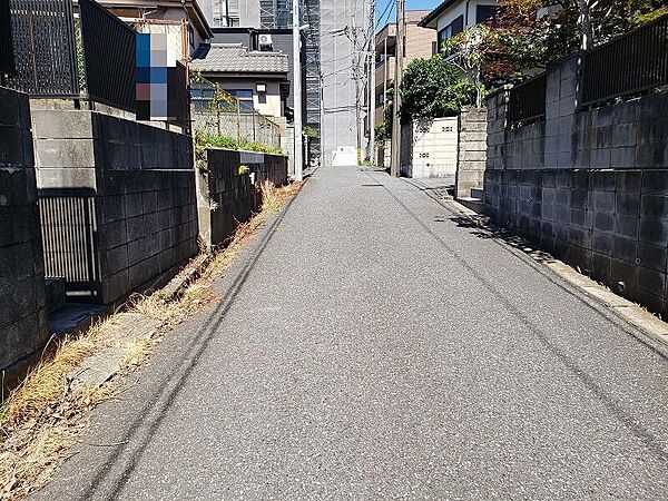 前面道路南側より