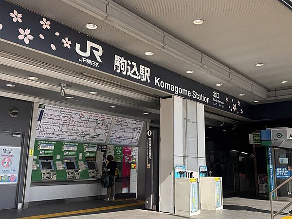 周辺を拡大表示