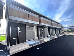 Cherry Blossom（チェリーブロッサム）　　B