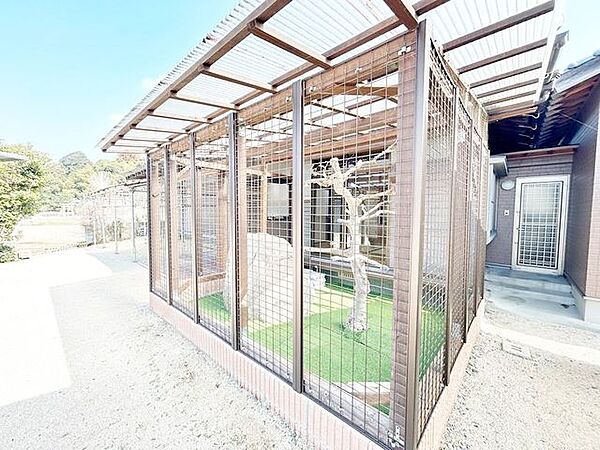 キャットハウスです。猫ちゃん以外も遊べそうですね。