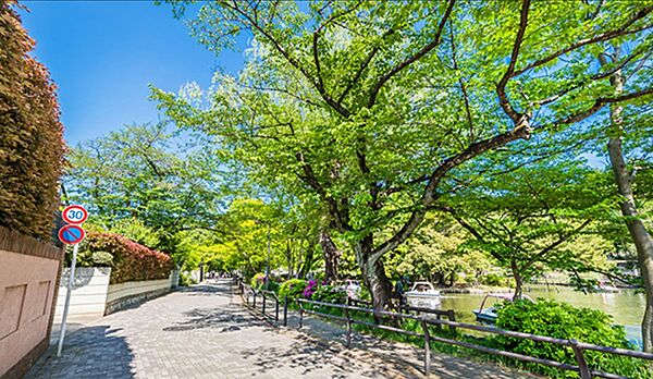 都立石神井公園