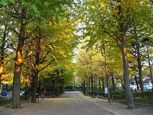 都立城北中央公園