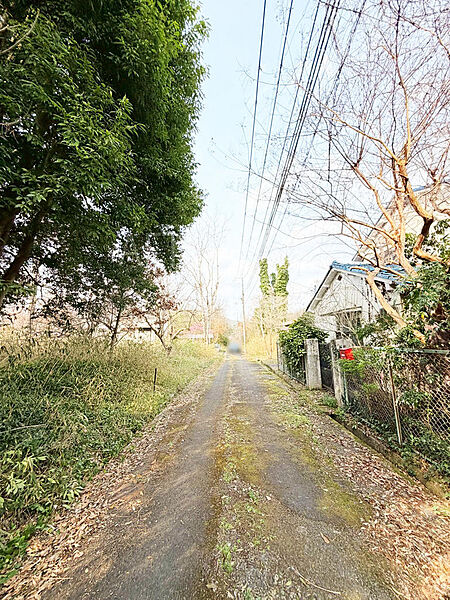 前道