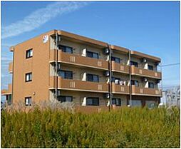 Villa HCSS(ヴィラエイチシーエスエス)