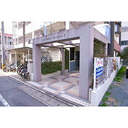 8 / 22