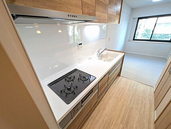 新規リフォーム済みのお部屋です。