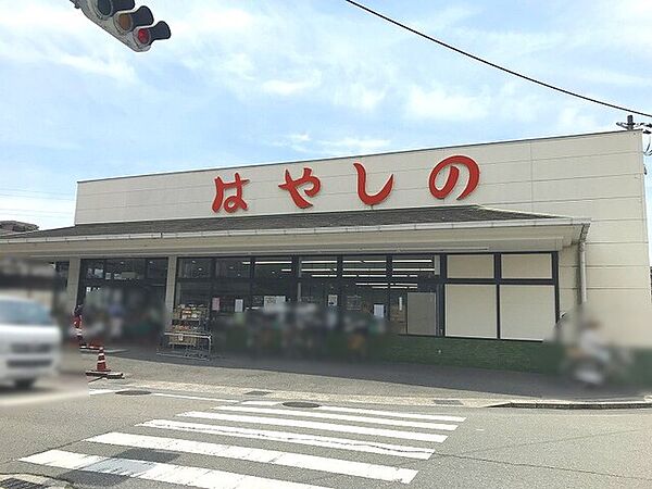 はやしの田寺店
