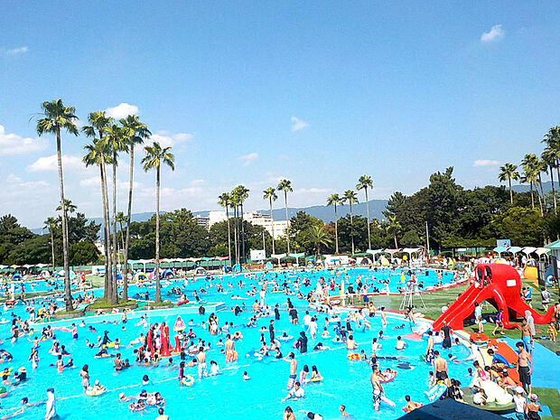 久宝寺緑地まで1100m 児童公園有りスポーツ施設も充実している緑地公園で、多数の広場に池や林が心身共に癒してくれます。 大阪四大緑地の一つで遊具やスポーツ施設と四季折々の花や緑が有る。