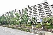 桃山台駅より徒歩3分 11階 築54年7ヶ月の賃貸物件