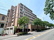 少路駅より徒歩9分 8階 築31年7ヶ月の賃貸物件