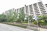 桃山台駅より徒歩3分 11階 築54年9ヶ月の賃貸物件