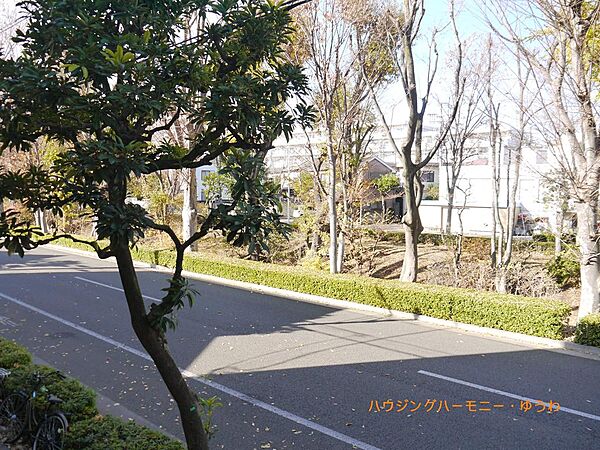 お部屋からの眺望です。