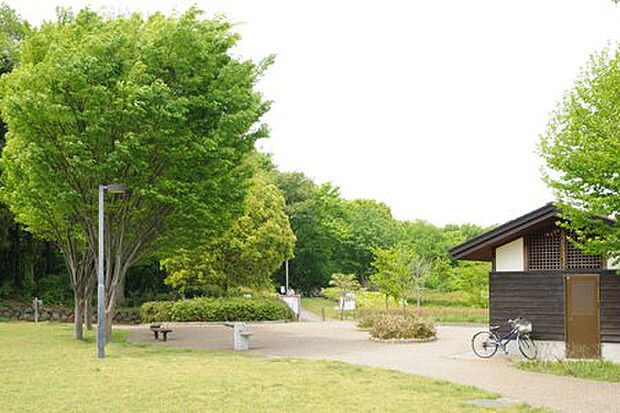 【座間谷戸山公園】500ｍ　座間駅の方から座間市役所の方まであるとっても広い公園。木の歩道があり、ジョギングやウォーキングをしている方が多いです。