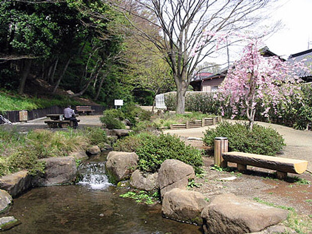 【亀島自然公園】500ｍ　住宅地の中にある公園で、園内には、小川が流れていたり、池（湧水池）があったり、林の斜面に遊歩道が作られていたりと自然を生かした公園になっています。
