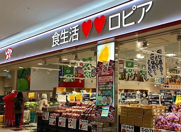 【ロピア ららぽーと海老名】900m ファッションの他に飲食店やスーパーもあるので、便利です。車でも電車でもアクセスが良いので楽チンです。