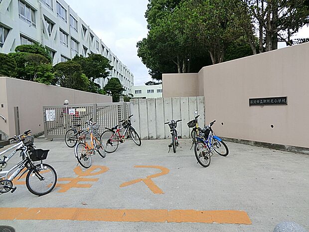 【藤沢市立御所見小学校】250m