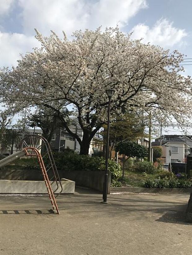 【新磯野公園】280m 住宅街の十分な広さのある公園です。設備には水飲み・手洗い場があります。