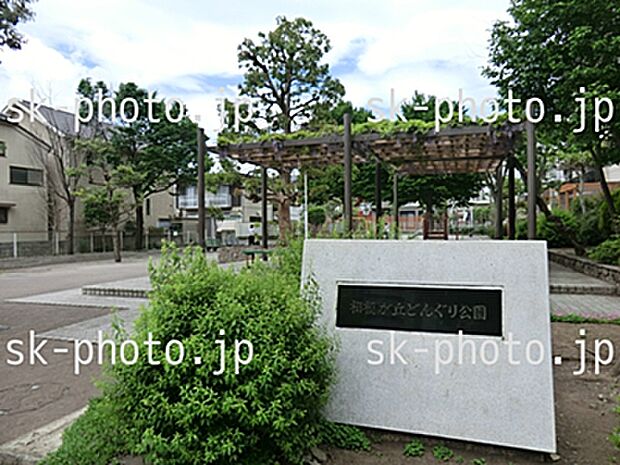 【どんぐり公園】　900ｍ　綺麗で穴場の公園です。ブランコ、シーソー、砂場、滑り台、ベンチがあります。