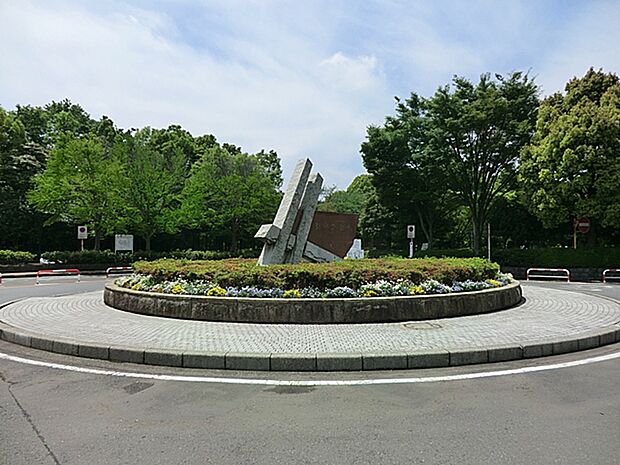 【引地台公園】800ｍ　温水プールや野球場があり、遊具も豊富でトイレや自販機も整備され、緑豊かでとても良い公園です。