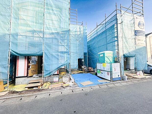 【撮影日】1月19日