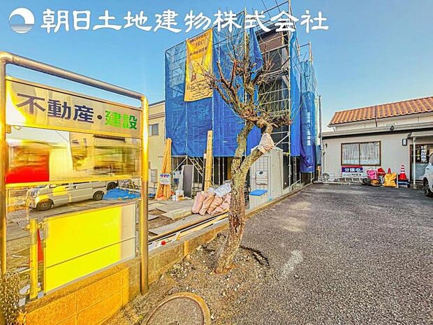 【撮影日】1月23日